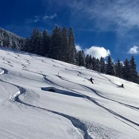 Flat Daniela, Im Zillertal Hippach