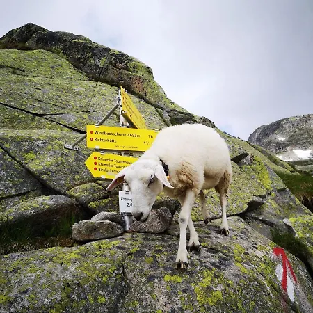 In Near Mayrhofen Area *