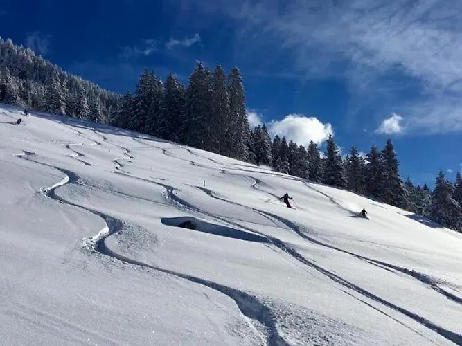 In Near Mayrhofen Area Hippach