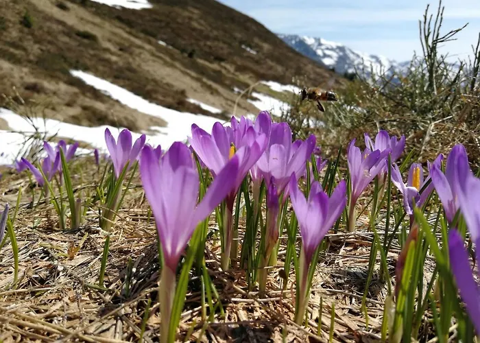 In Near Mayrhofen Area Διαμέρισμα