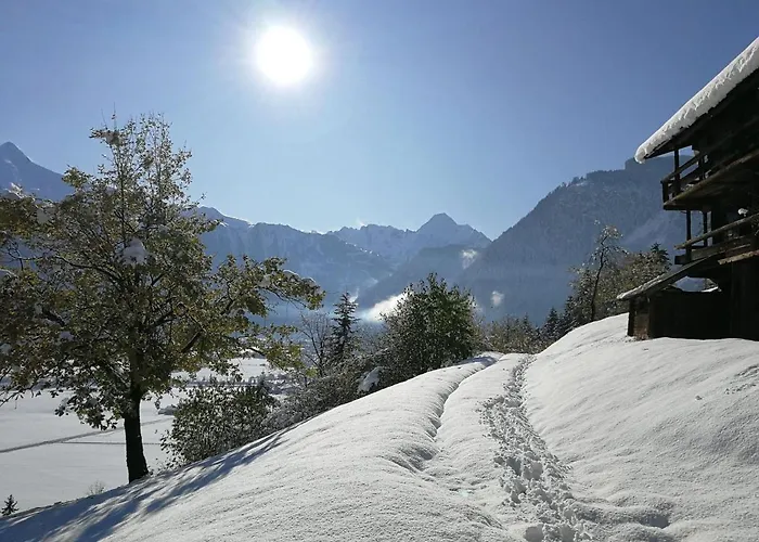Διαμέρισμα In Near Mayrhofen Area Hippach