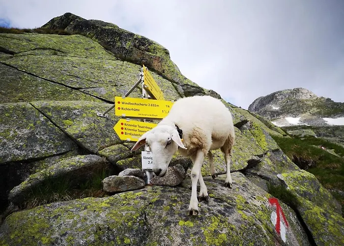 In Near Mayrhofen Area *